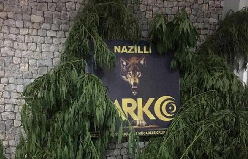 NAZİLLİ POLİSİNDEN UYUŞTURUCU OPERASYONU